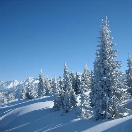 Konukevi Alber Sankt Anton am Arlberg